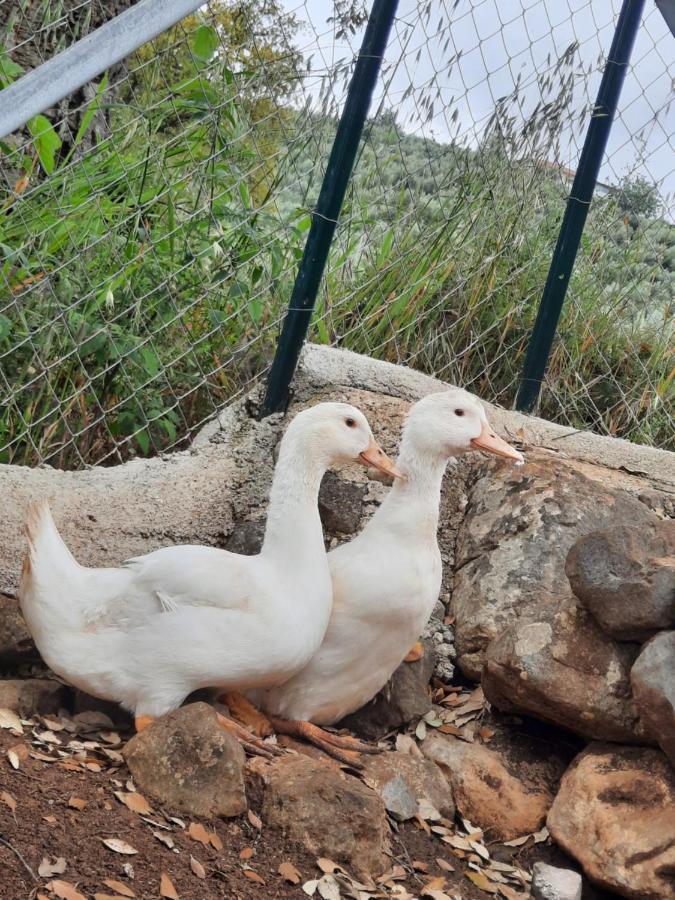 Farm stay Casale Rufo