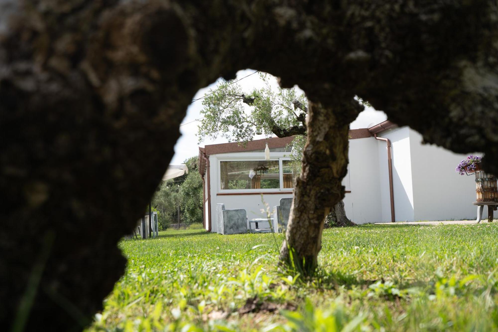 Casale Rufo Bauernhof