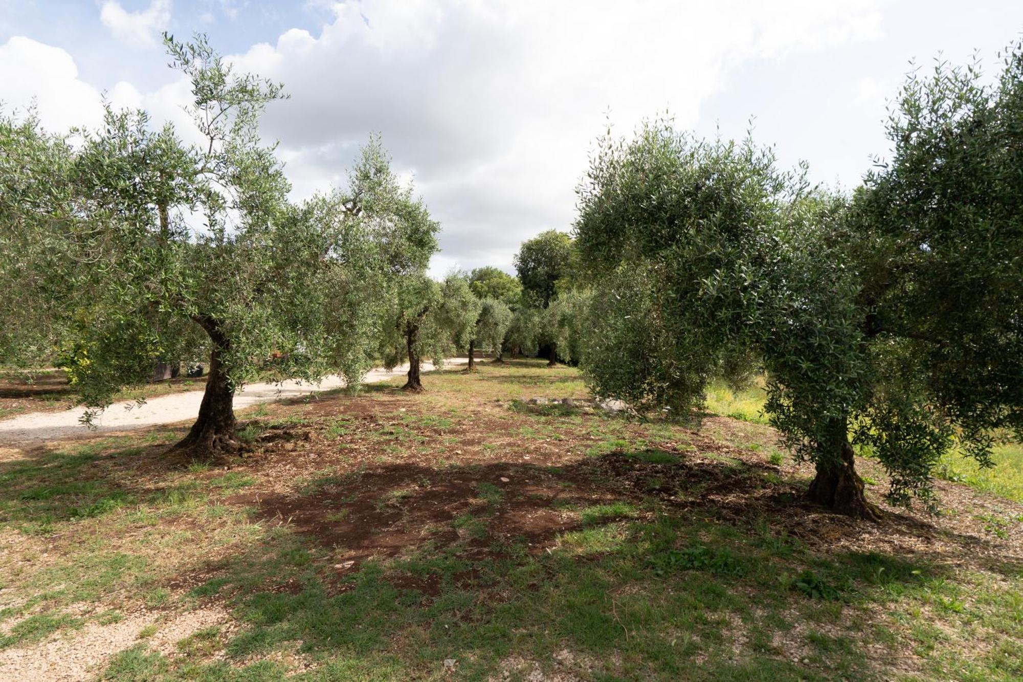 Bauernhof Casale Rufo