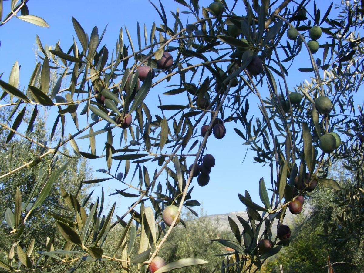 Bauernhof Casale Rufo Sonnino