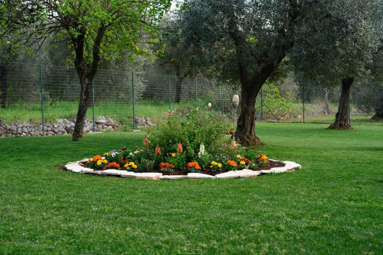 Casale Rufo Bauernhof *